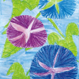 佳作　山本ひかるさん
『かわいい あさがお』